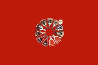 民丰县回收红酒